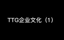 【Gemini&九尾】TTG企业文化——变脸 九尾你是懂祝福的网络游戏热门视频