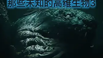 那些未知的高维生物3