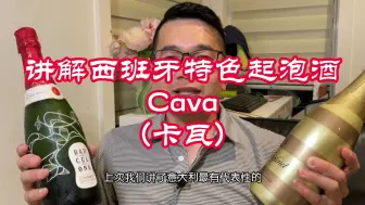 Download Video: 一次讲清楚西班牙特色起泡葡萄酒CAVA(卡瓦）#葡萄酒讲解 #干货酒知识