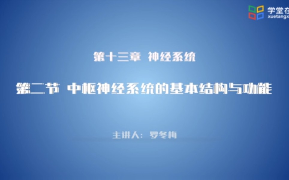 运动解剖学神经系统中枢神经系统的基本结构与功能哔哩哔哩bilibili