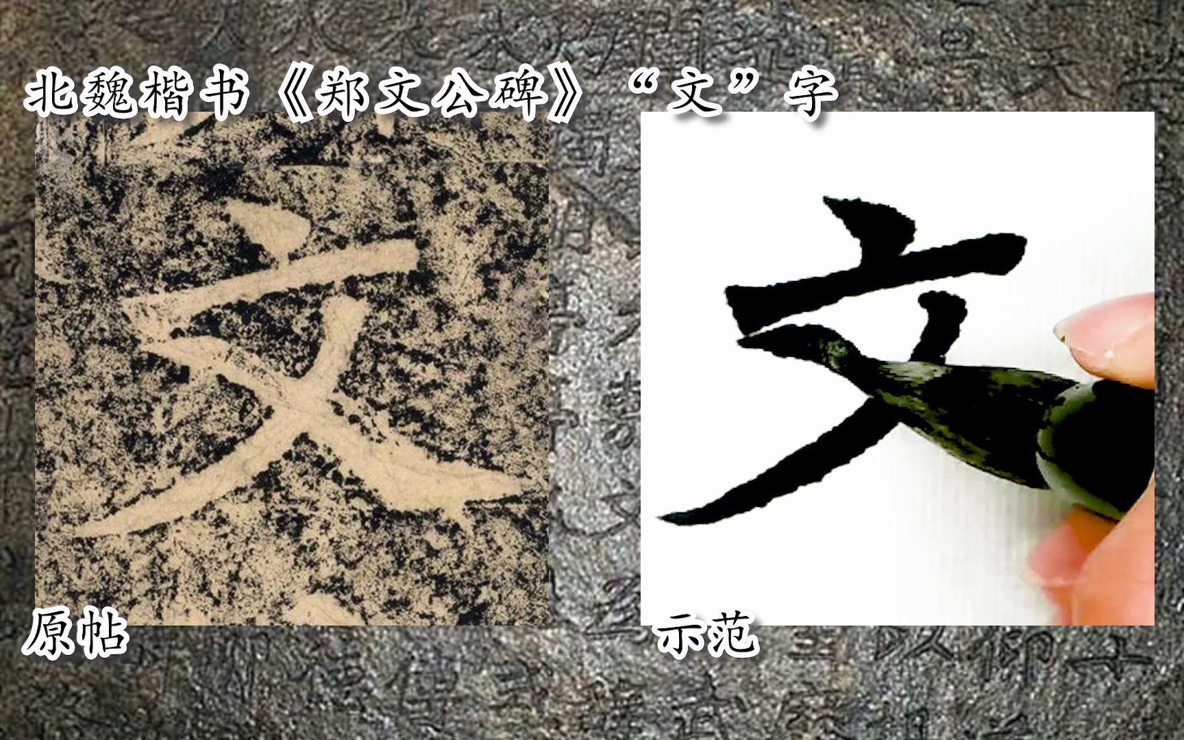 [图]【每日一字】书法视频，周东芬临北魏楷书《郑文公碑》“文”字