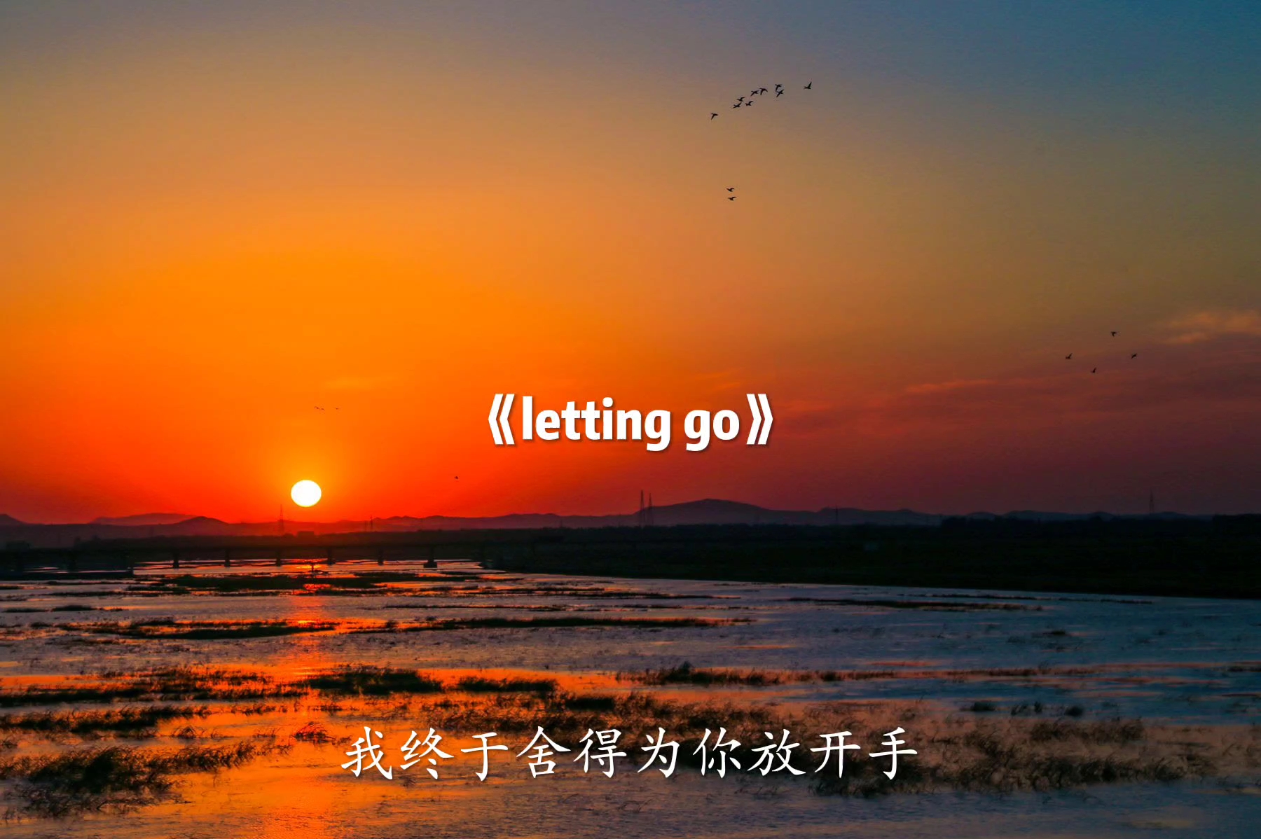 [图]《letting go》完整版