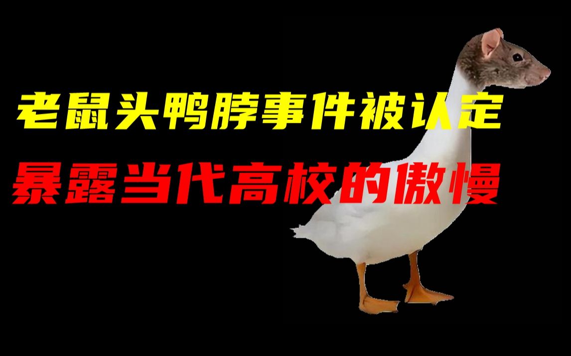 老鼠头鸭脖终于被认定,某些高校的傲慢也该管管了哔哩哔哩bilibili