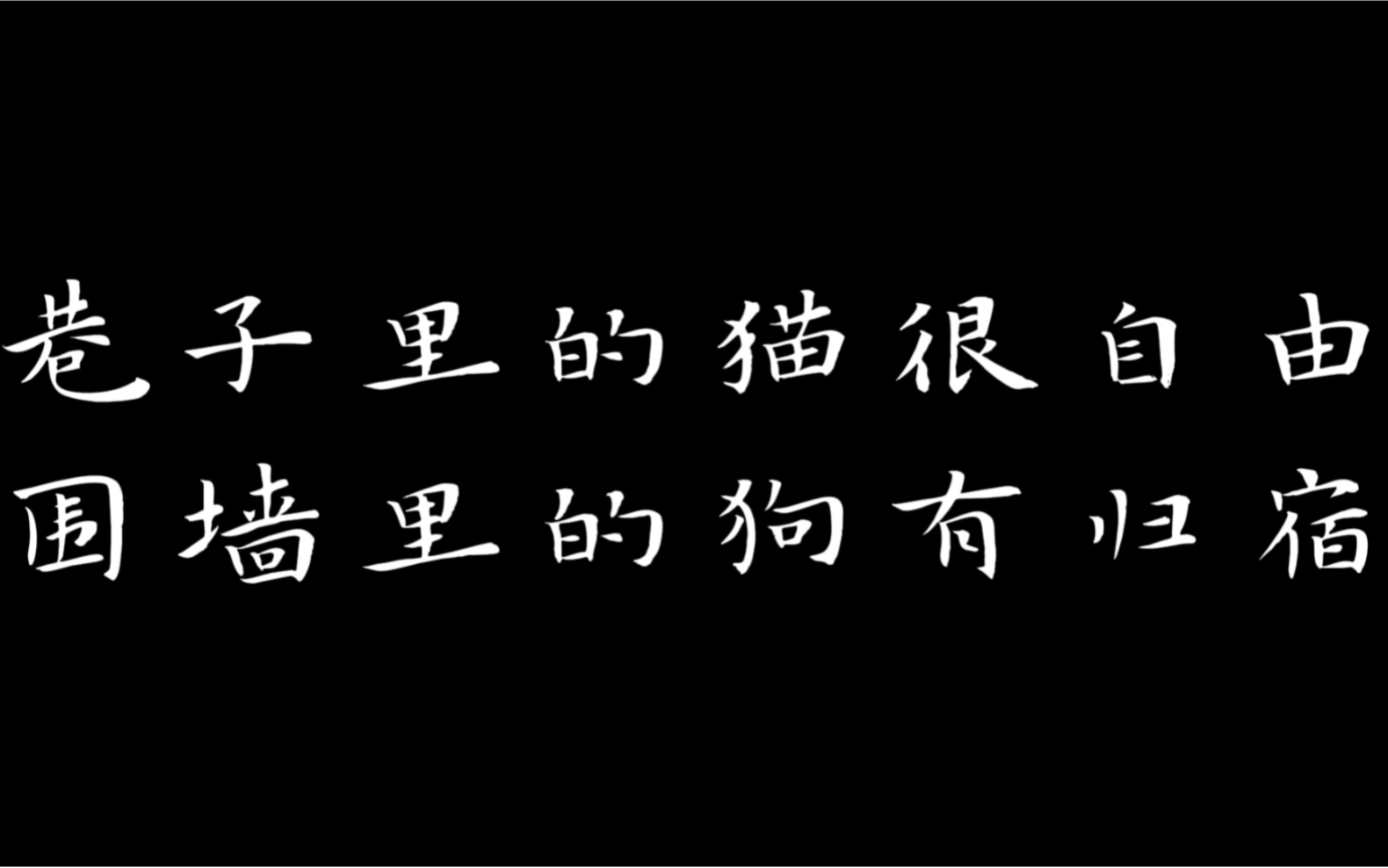 巷子里的猫很自由,围墙里的狗有归宿