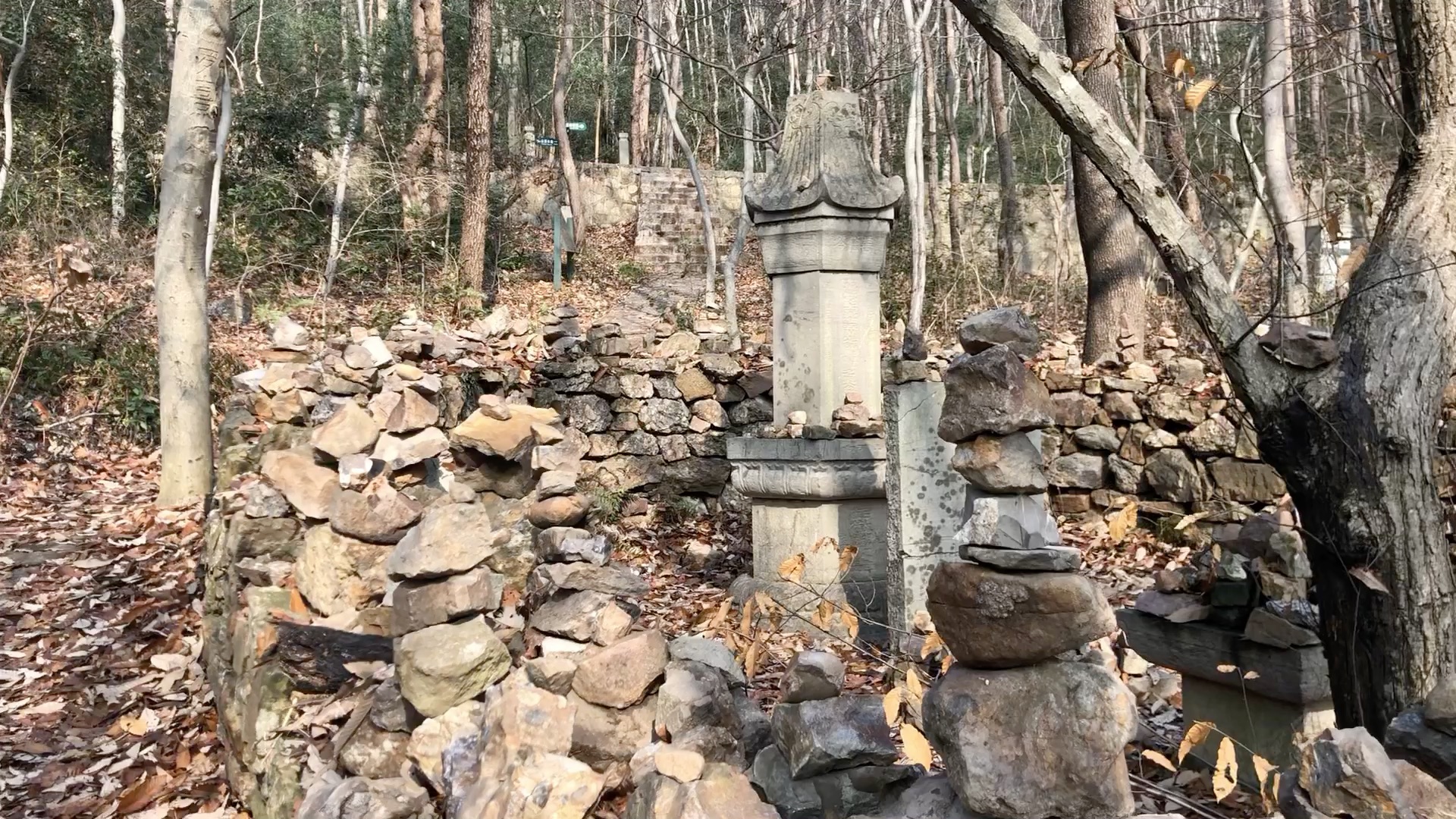 探访南京紫金山万福寺遗址:名僧塔林