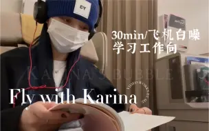 【Fly With Karina】和柳智敏一起学习吧 | 30min | 飞机白噪音 | 作业向