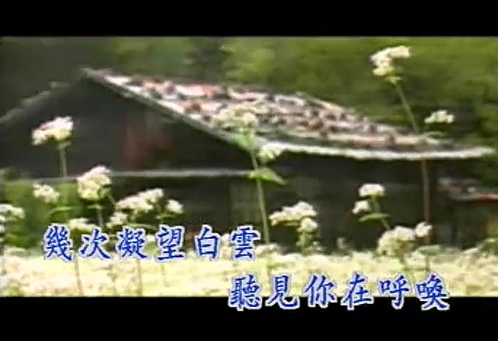 [图]1984年邓丽君《爱的使者》专辑之《海恋》- 卡拉OK版