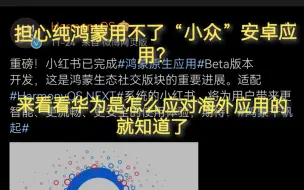 Télécharger la video: 没必要担心到时候纯鸿蒙用不了没适配的安卓应用