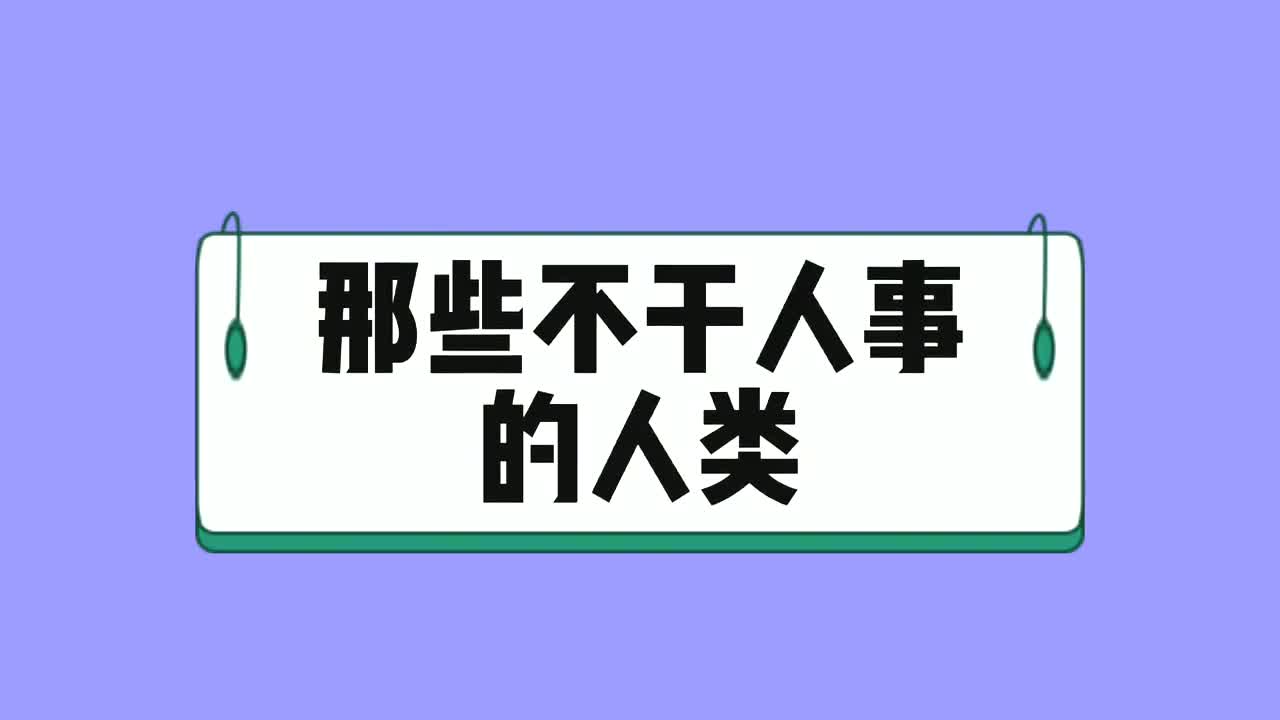 那些不干人事的人类,我不是人,但你是真的狗