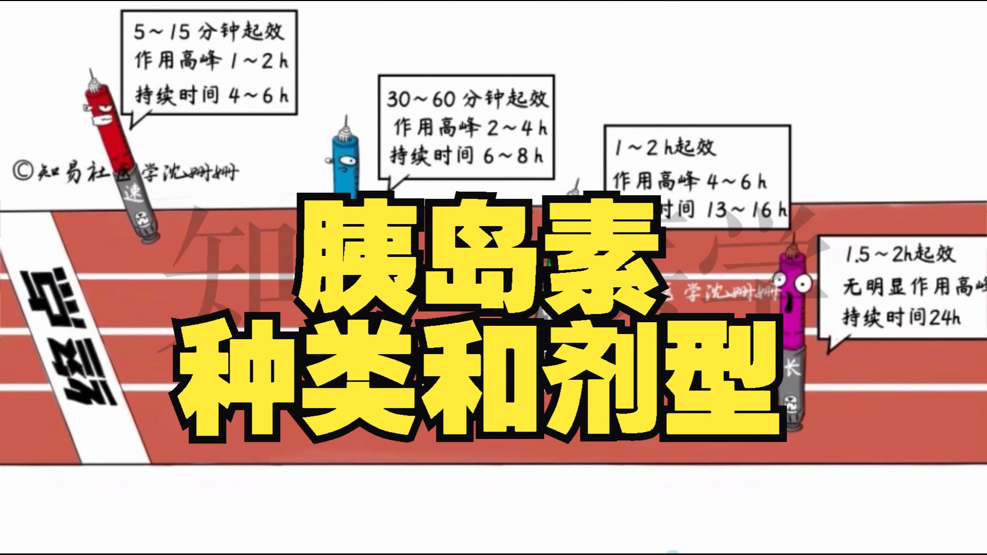 胰岛素的作用与危害图片