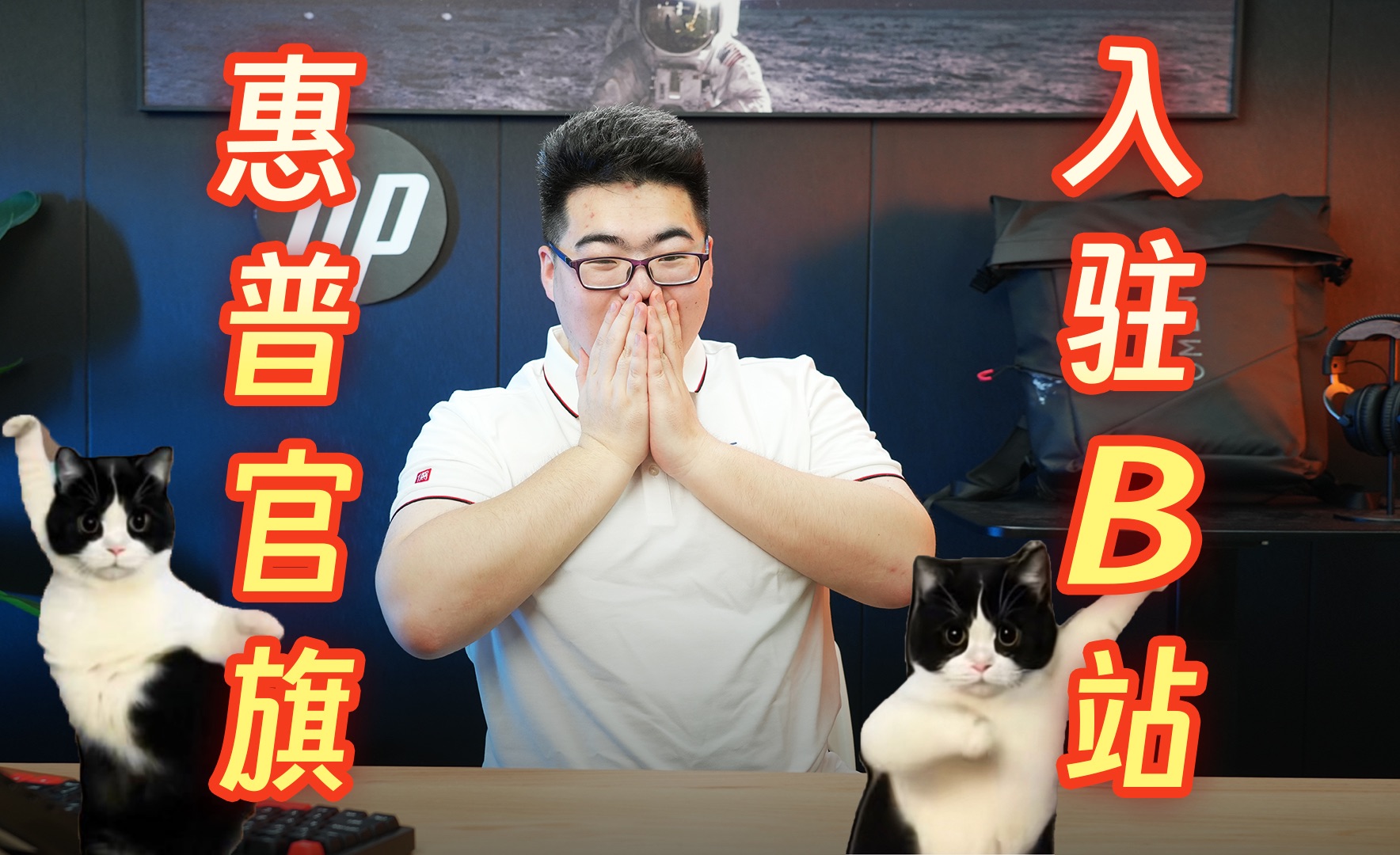 我真的是官方吗?我为什么不认证小闪电呢?