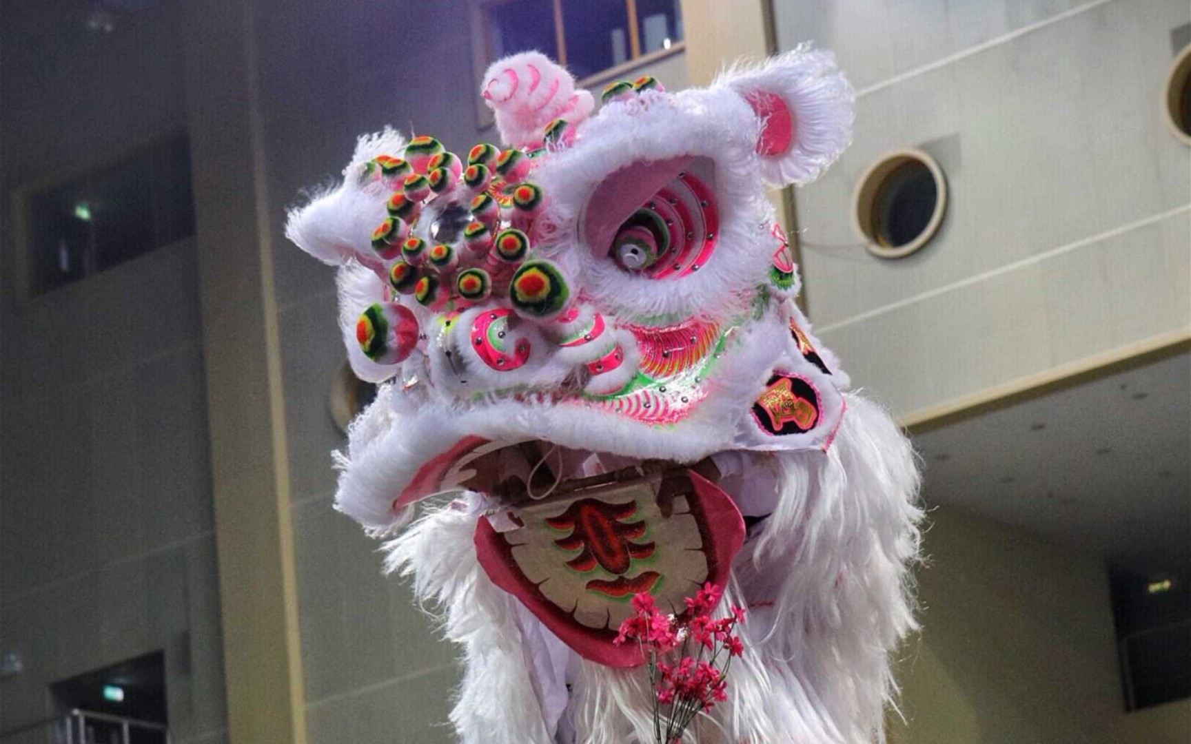 我为祖师爷擂鼓出狮岭南女鼓王可能是b站水平最高的醒狮女鼓手4非物质