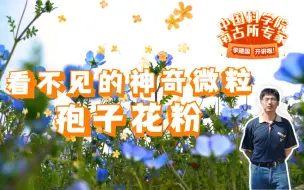 Download Video: 【中科院南古所】看不见的神奇微粒——孢子花粉