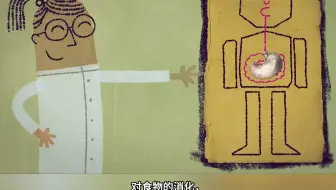 你的身体如何知道时间