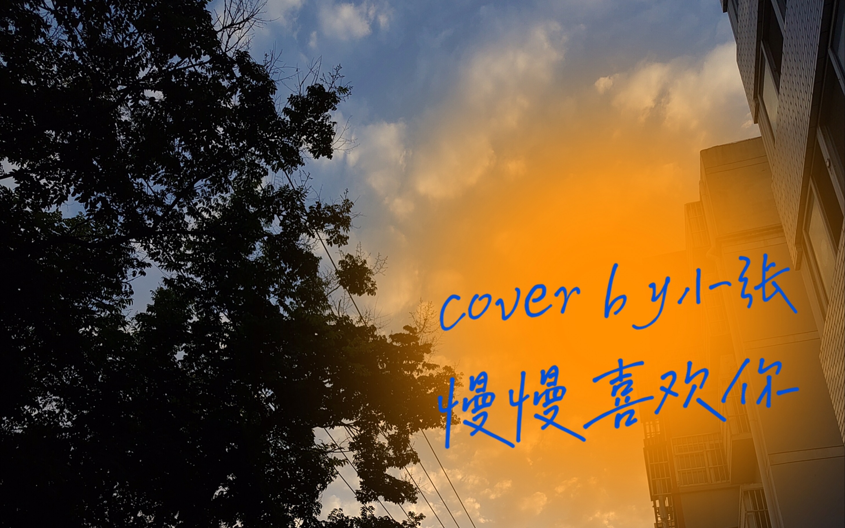 慢慢喜欢你|我想一切慢慢来