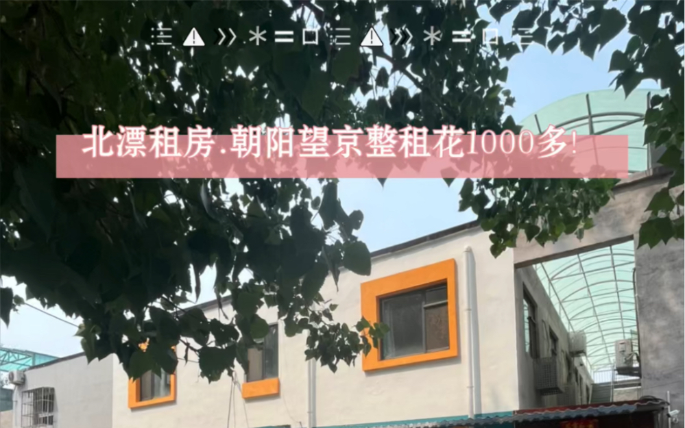 北京租房.在北京花1000多整租什么体验!!!哔哩哔哩bilibili