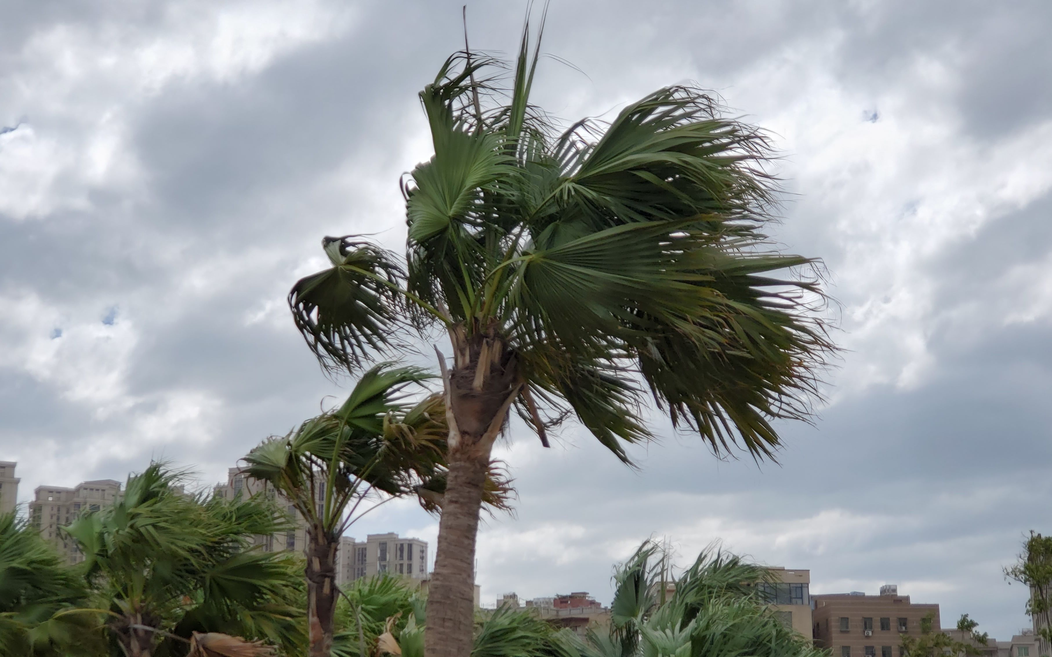 万事小心,这天台风圆规路过!不见其身影,但气息恐怖,震动千里!