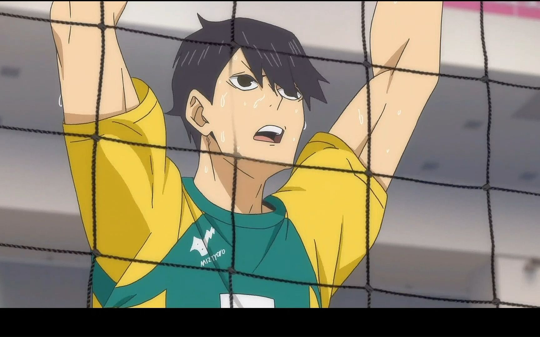 【排球少年|户美学园的危险派对】真的不来看看吗,户美的平均颜值真的