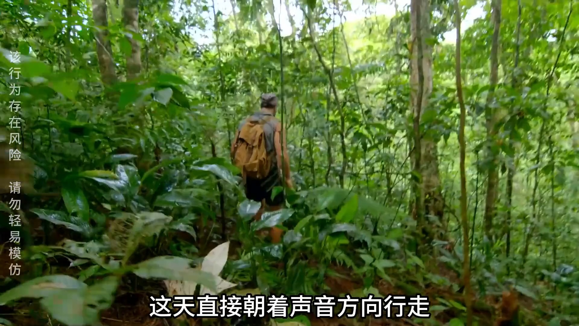马特和乔荒野求生 马特和乔哥斯达黎加求生,吃上嘎嘣脆的狼蛛,还有