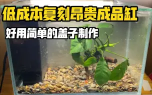 下载视频: 不买昂贵的成品缸，雷龙鱼简单好用的盖子制作。