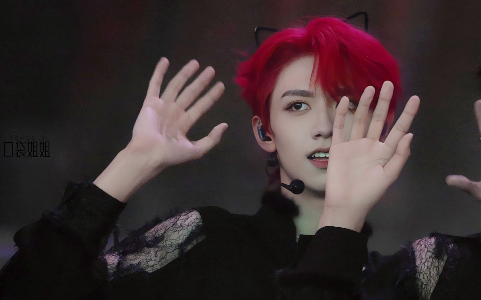 朱志鑫《波斯猫》舞台直拍-tf家族生于火焰演唱会