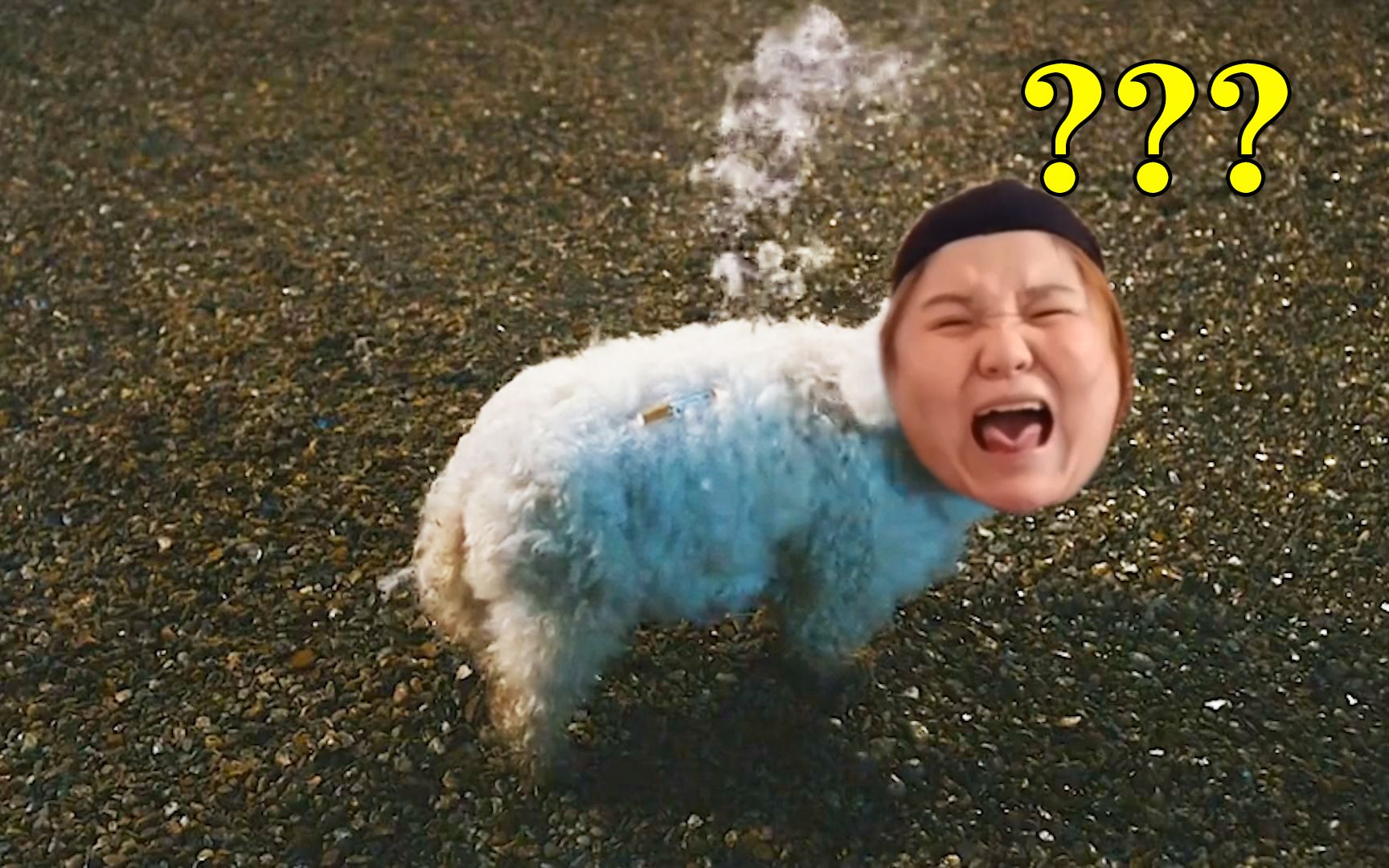 活动作品倒霉的郭子