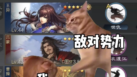 当你拿出这队时对面已经输一半了率土之滨王异