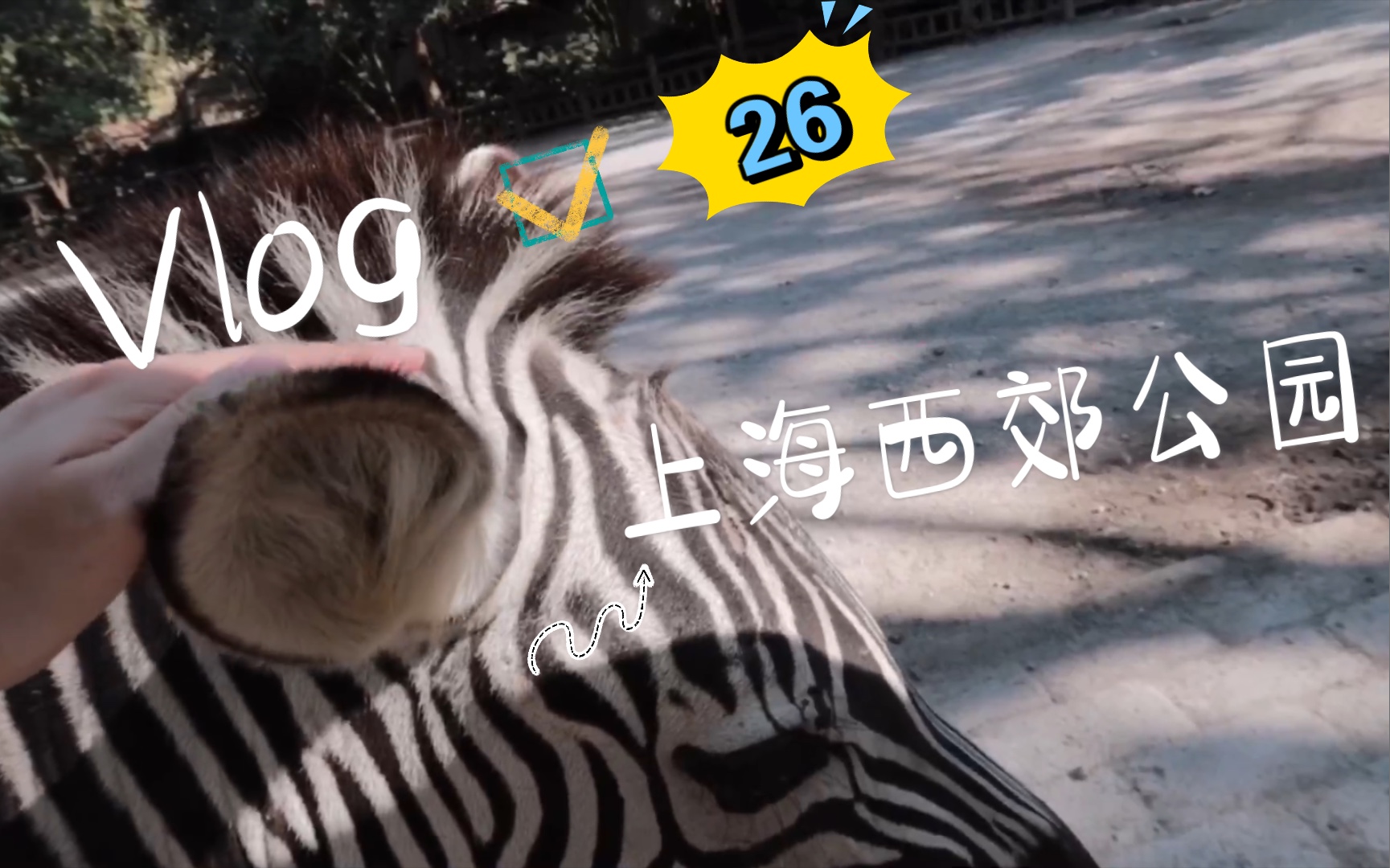 蓝知更鸟Vlog#26丨上海西郊公园一日游哔哩哔哩bilibili