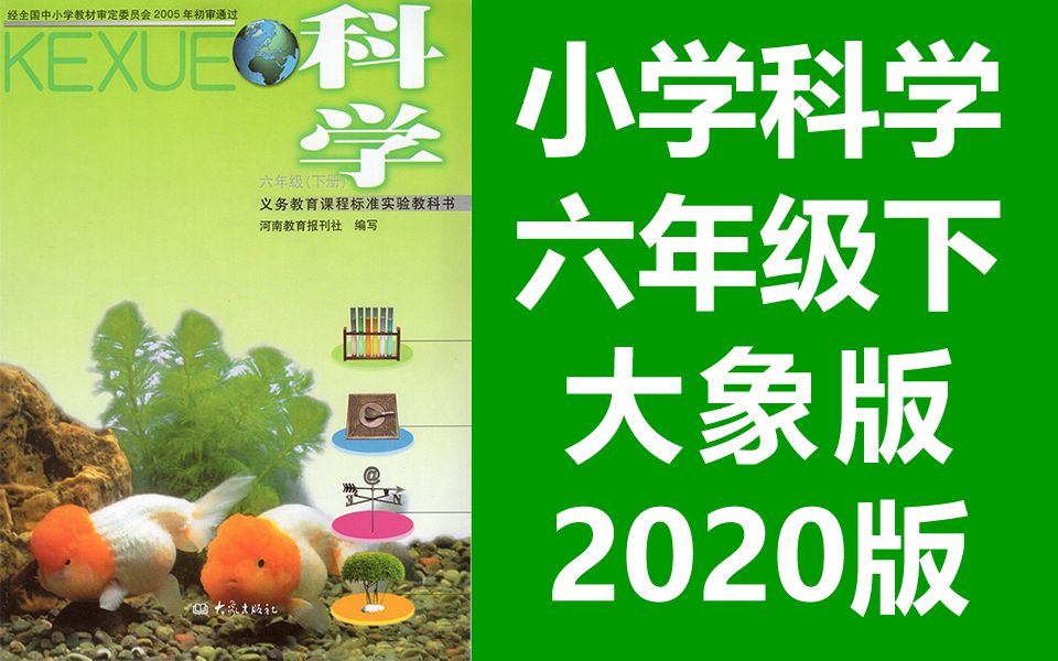 小学科学六年级科学下册大象版2020新版科学6年级科学河南版大象出版