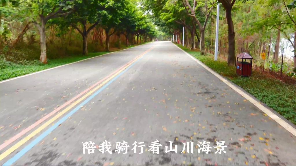 记录人生中第一辆公路车java鱼雷6top哔哩哔哩bilibili