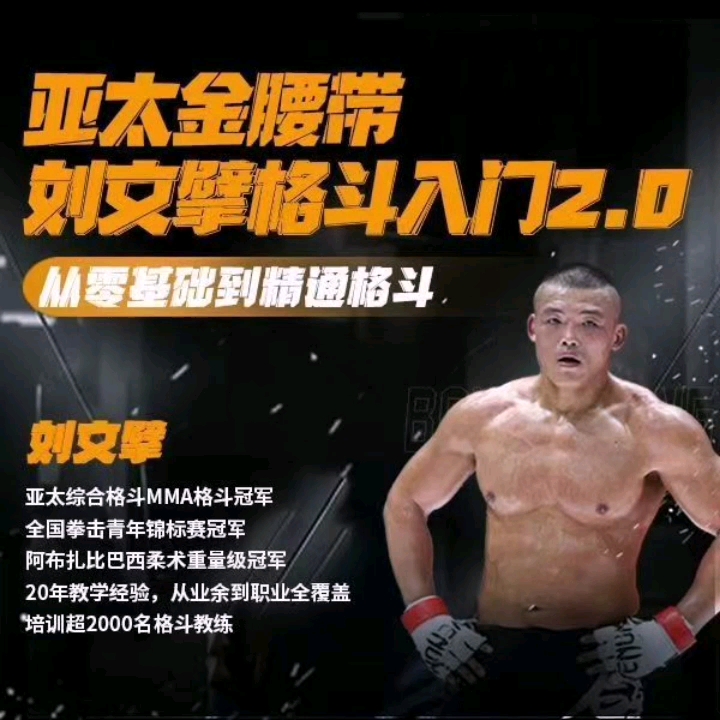 亚太拳王刘文擘综合格斗mma入门51讲拳腿法组合地面全套视频课程 看我