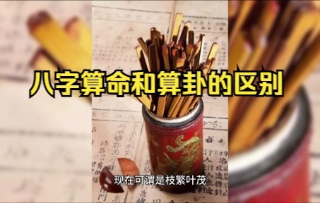 八字算命和算卦的区别哔哩哔哩bilibili