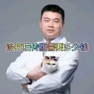 Download Video: 治疗猫传腹的花费估算