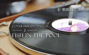 Download Video: [火西肆直播切歌]Fish in the Pool