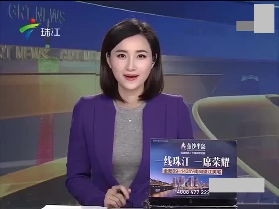 珠江新闻眼林彬的胸图片