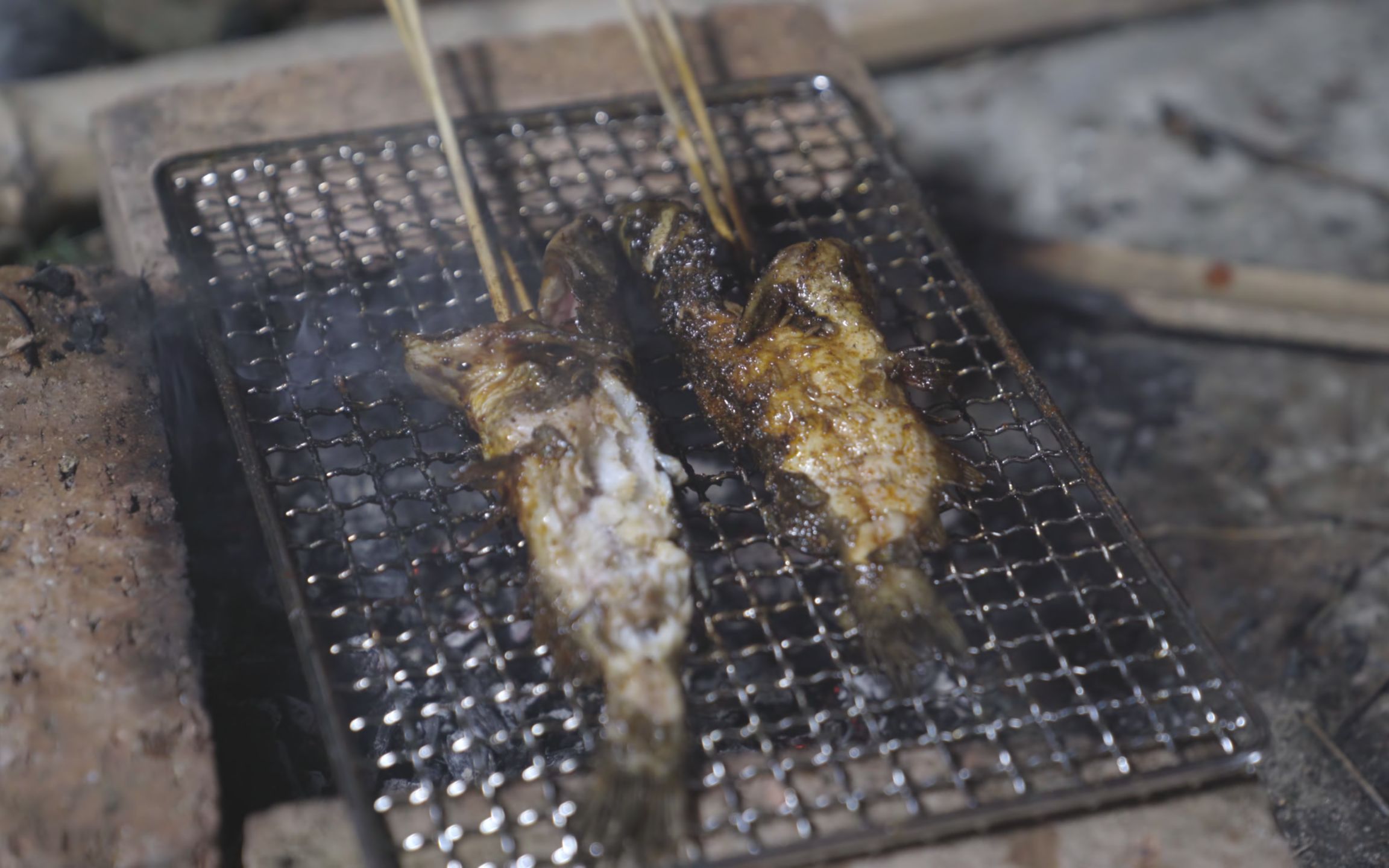 暑假户外纯天然烤鱼,撒点自然味道更赞