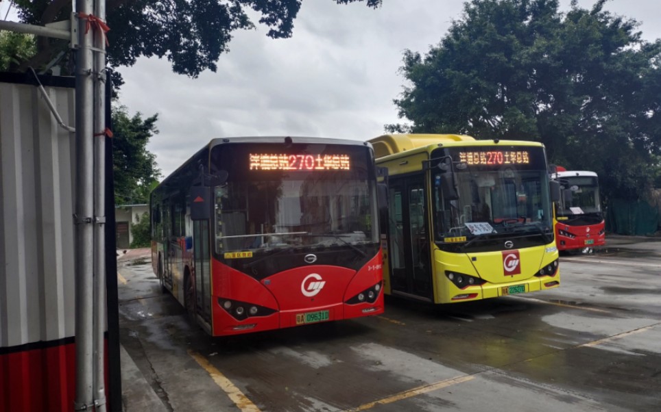 【广州公交】三汽王牌线路270路全程pov(泮塘总站-土华总站)