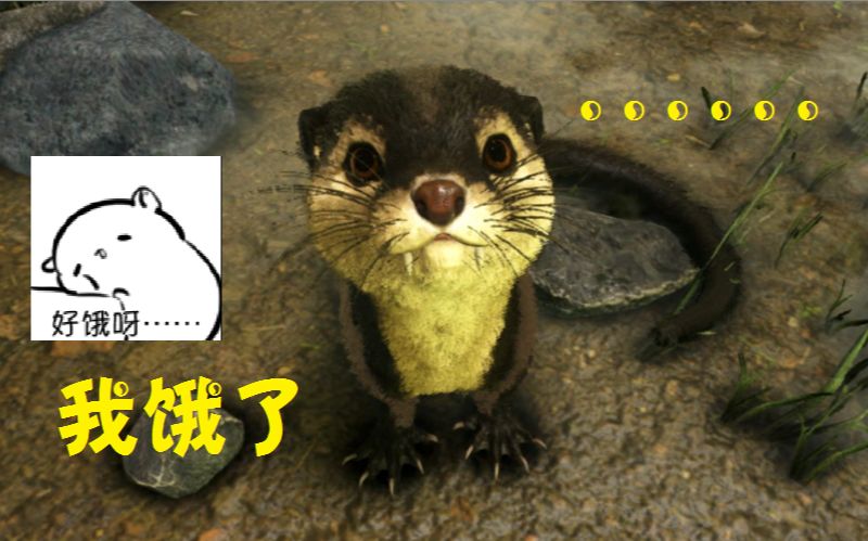 天铭 方舟 畸变 17 水獭,萌哒哒!方舟生存进化 aberration