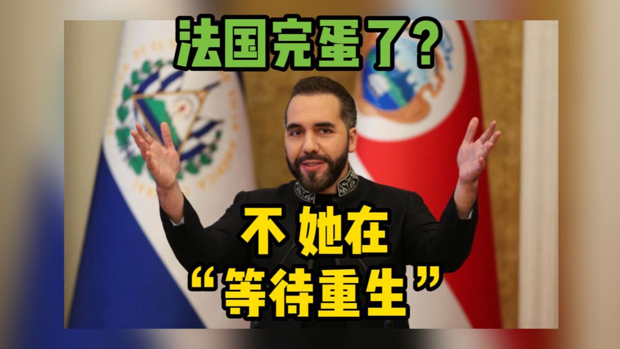 萨尔多瓦总统反驳唱衰法国言论 称法国在等待重生