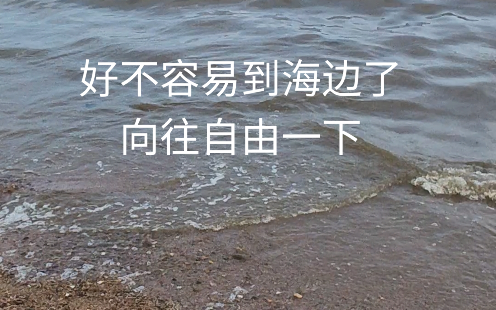 发出散人向往自由的声音