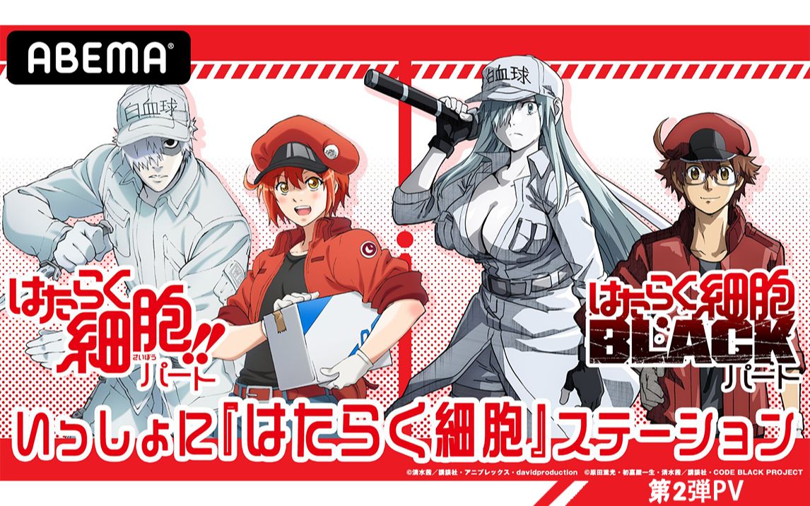 【中字】「工作细胞」第2弾pv│2021年1月9日放送開始