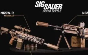 Download Video: SIG SAUER NGSW  美军新一代武器系统射击展示