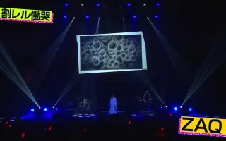 山本陽介 哔哩哔哩 Bilibili