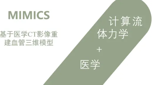 血管模型三维重建：MIMICS+3D SLICER