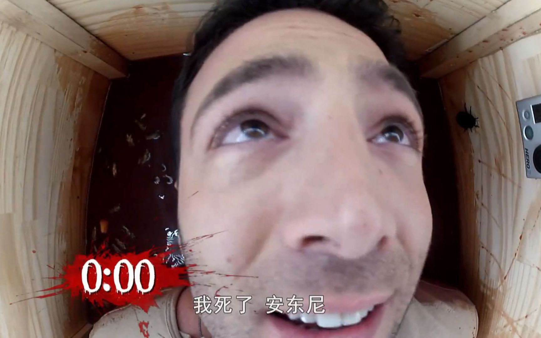 海报