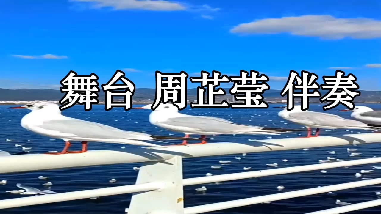 舞台 周芷莹 伴奏