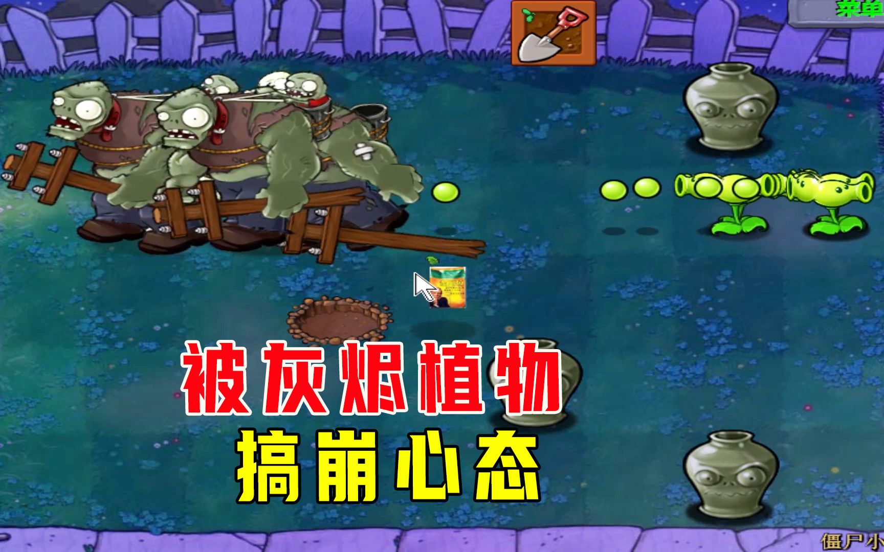 植物大战僵尸僵尸小队下再也不信灰烬植物了搞我心态