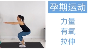 孕期运动 25分钟孕妇燃脂有氧操控制体重稳定血糖 孕早中晚期都适用 哔哩哔哩 つロ干杯 Bilibili