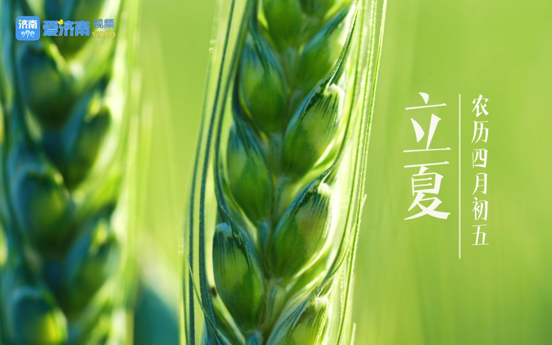 【泉·城】 二十四节气之立夏:新象迸生 迎夏而立_哔哩哔哩_bilibili
