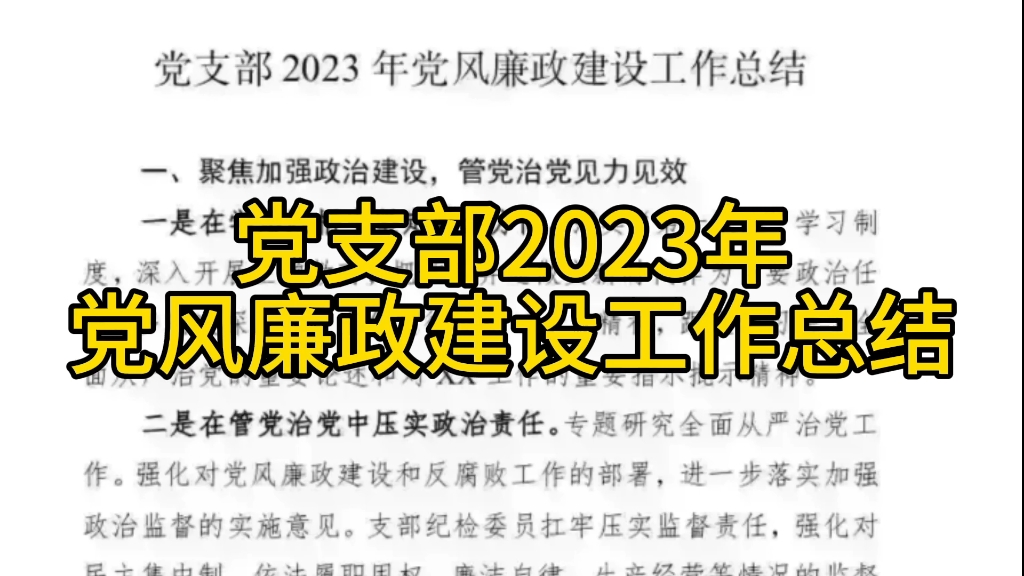 党支部2023年党风廉政建设工作总结哔哩哔哩bilibili